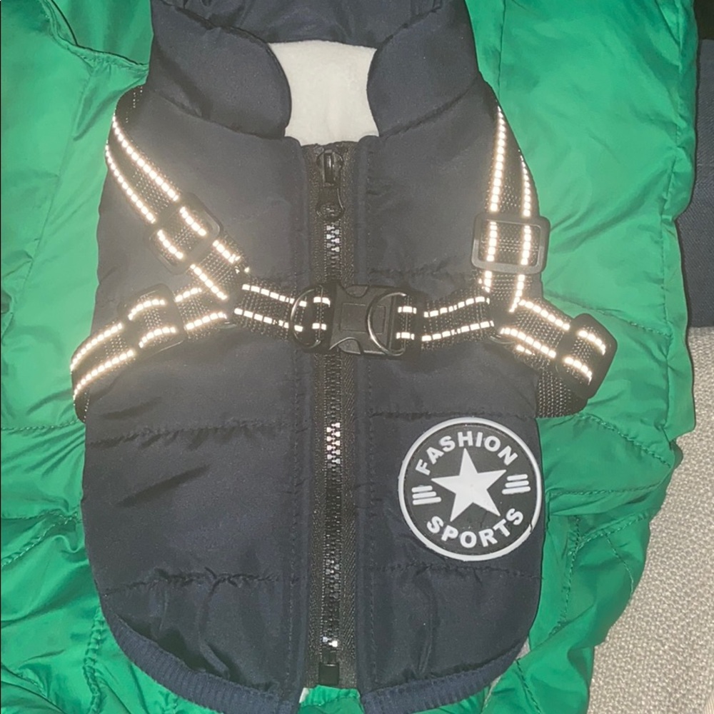 Dog navy jacket - Picture 2 of 8